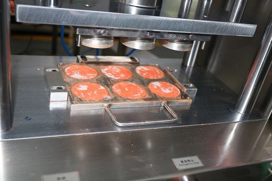 6 ثقوب Cnc القوالب الألومنيوم لشكل مسحوق رطب 1 سنة ضمان